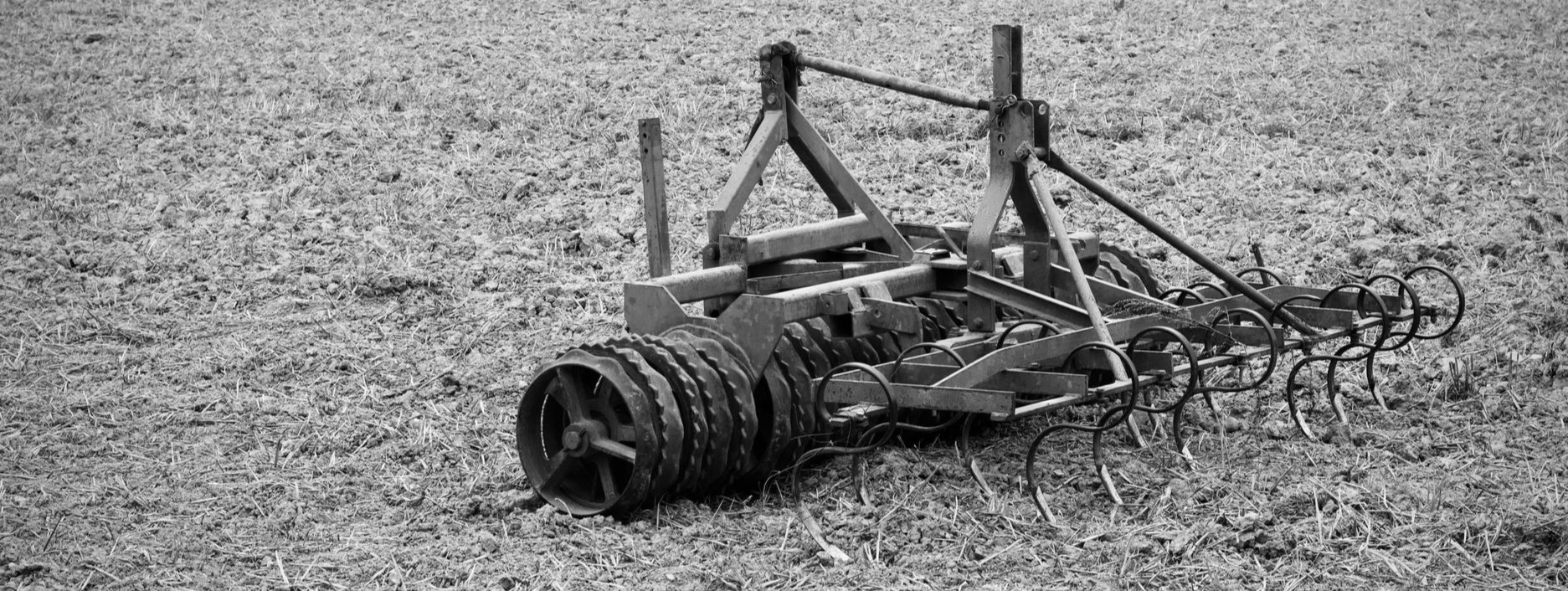 Swords into Plows